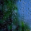 Enhance Your Vacation Rental with Expert Window Services