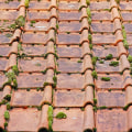 Protect Your Vacation Rental Investment with Roof Replacement in Sarasota, FL