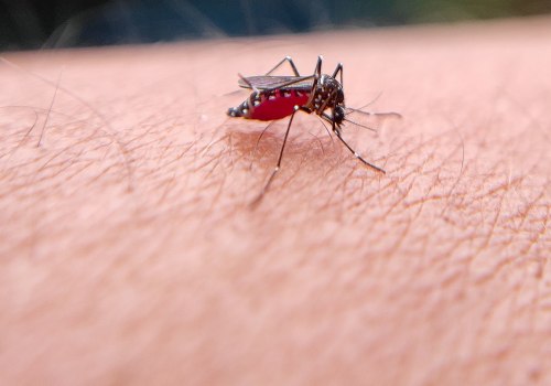 Keep Your Sheffield Vacation Rental Pest-Free with Apex Pest Control