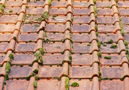 Protect Your Vacation Rental Investment with Roof Replacement in Sarasota, FL