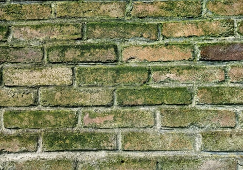 Mold Removal Services for Vacation Rentals in Portland